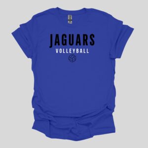 Bradley Volleyball